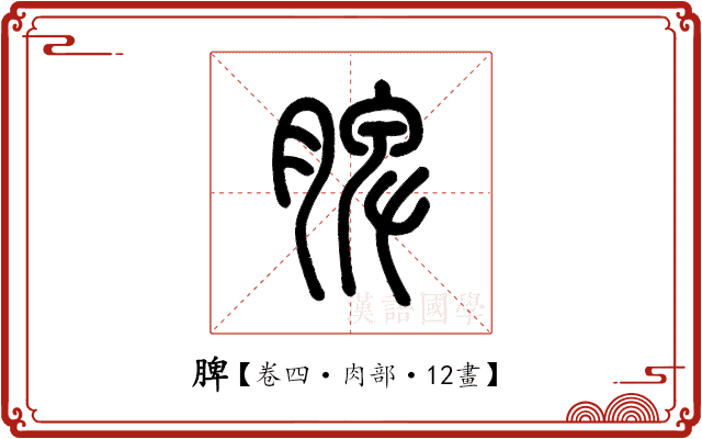 脾 脾