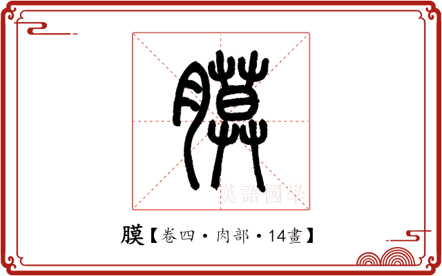 膜 膜