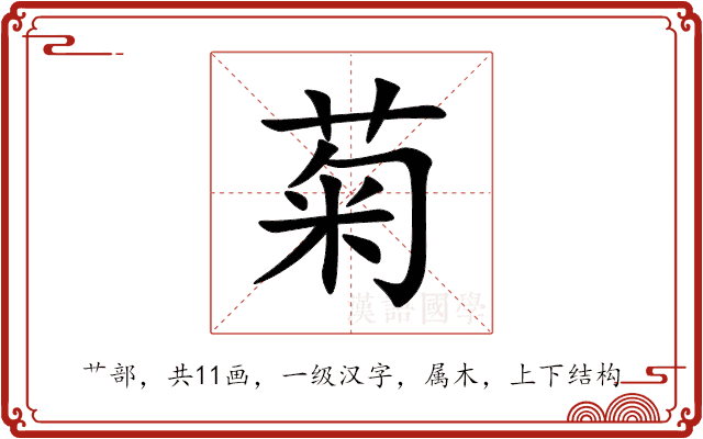 菊 菊