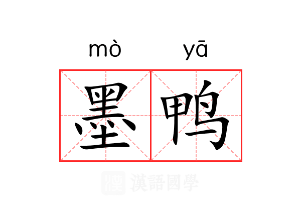 墨鸭 墨鸭