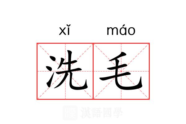 洗毛 洗毛