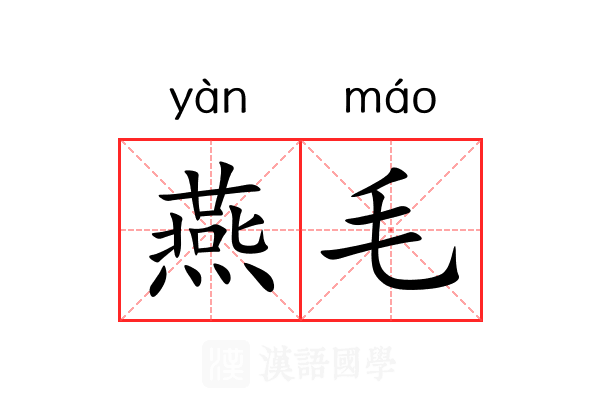 燕毛