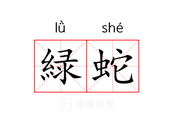 緑蛇 緑蛇
