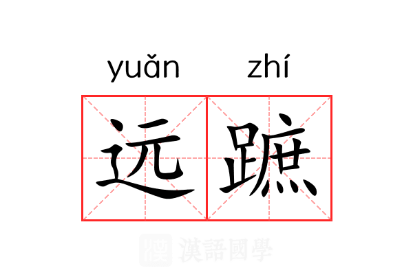 远蹠