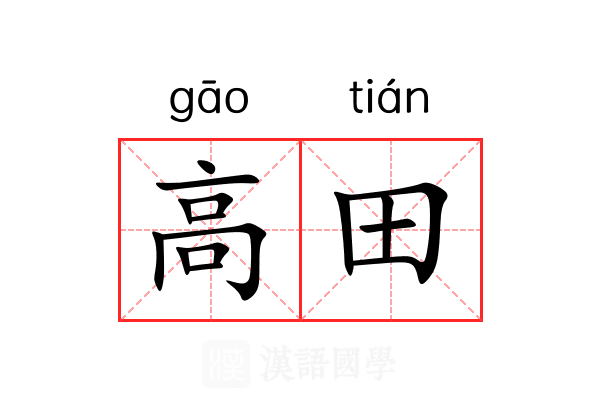 高田 高田