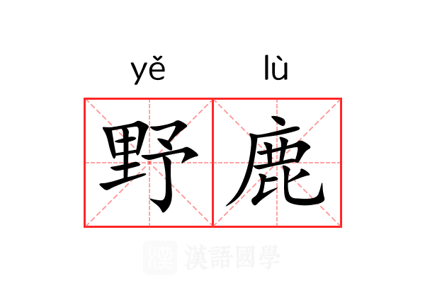 野鹿 野鹿
