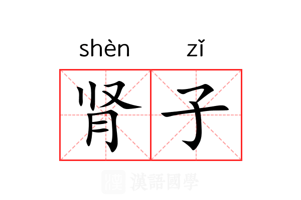 肾子 肾子