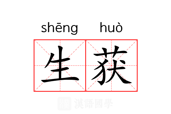 生获 生获