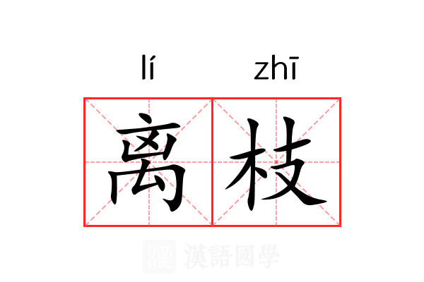 离枝 离枝