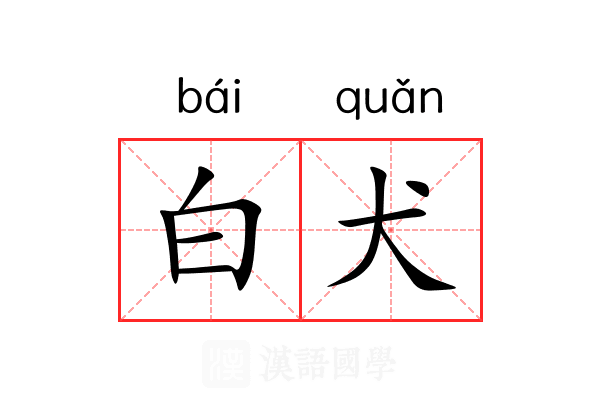 白犬 白犬