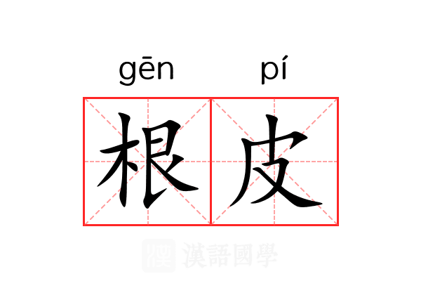 根皮 根皮