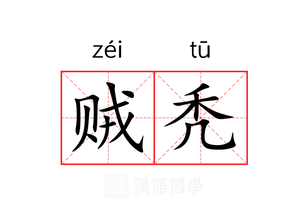 贼秃 贼秃