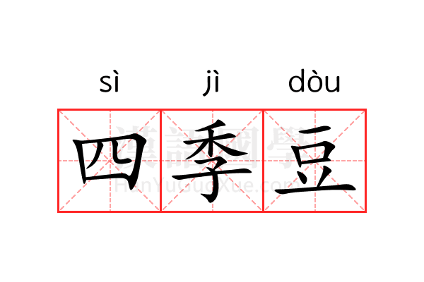 四季豆 四季豆