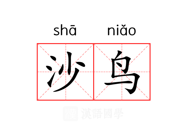 沙鸟 沙鸟