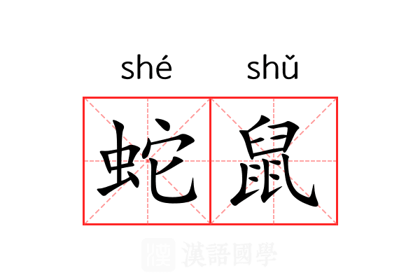 蛇鼠 蛇鼠