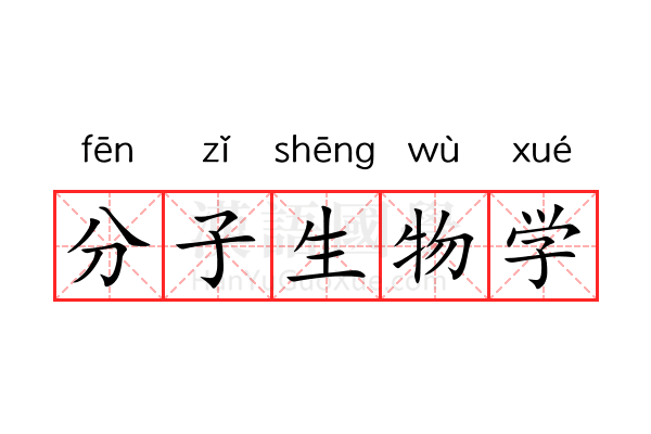 分子生物学