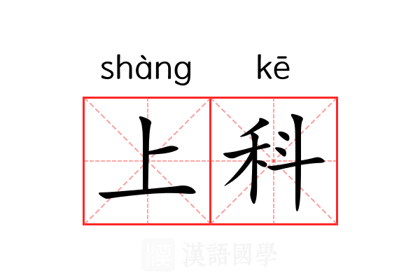 上科 上科