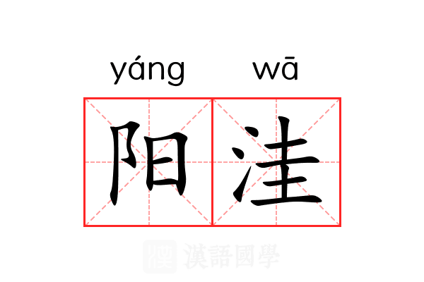 阳洼 阳洼