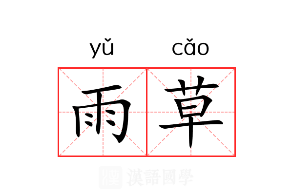 雨草 雨草
