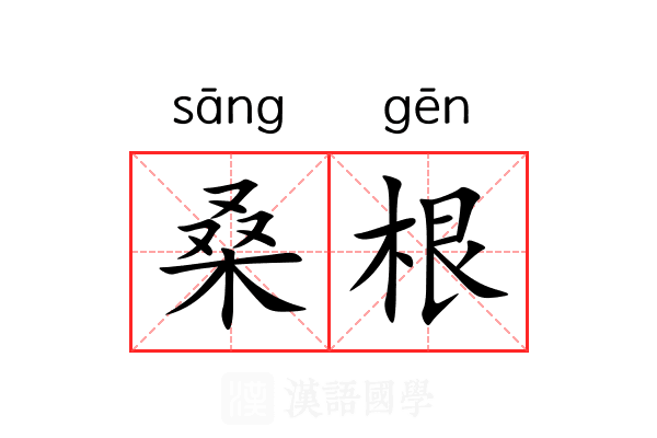 桑根 桑根