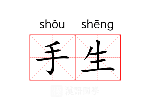 手生 手生