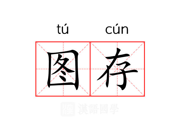 图存 图存