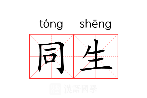 同生 同生