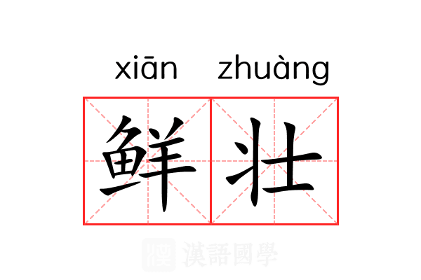 鲜壮 鲜壮