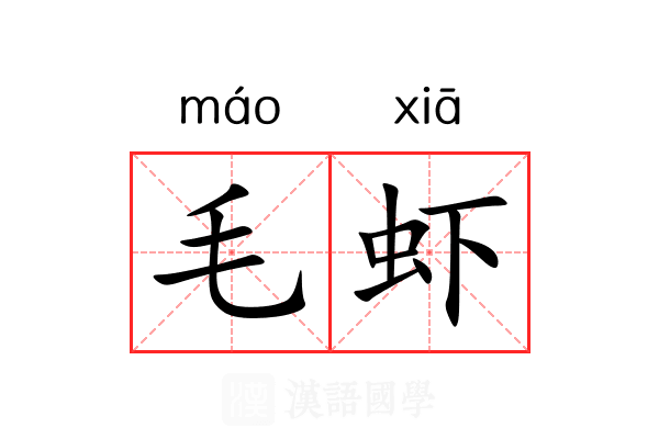 毛虾 毛虾