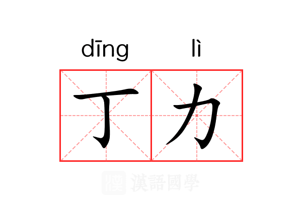 丁力 丁力