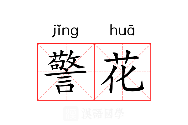 警花 警花