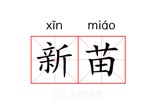 新苗 新苗