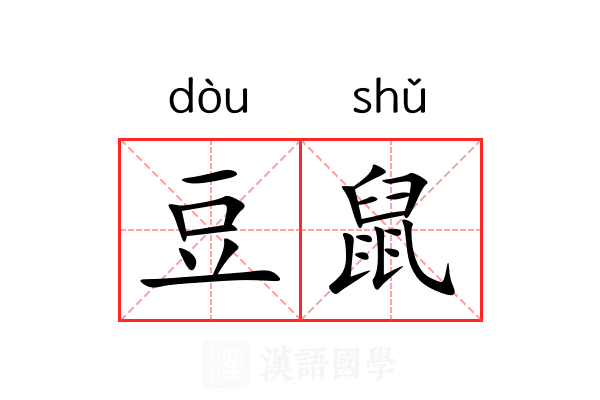 豆鼠 豆鼠