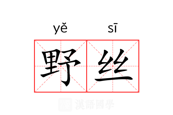 野丝 野丝