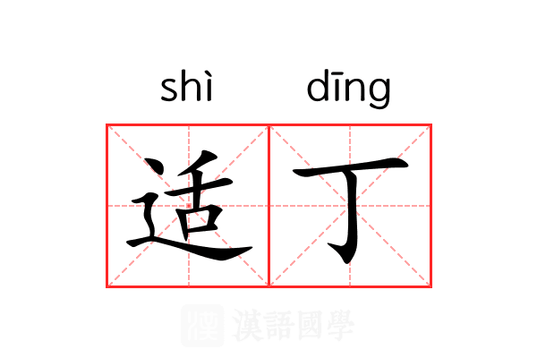 适丁 适丁