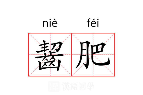 齧肥 齧肥