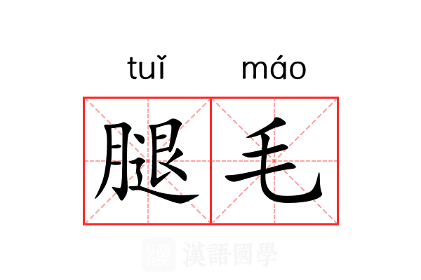 腿毛 腿毛