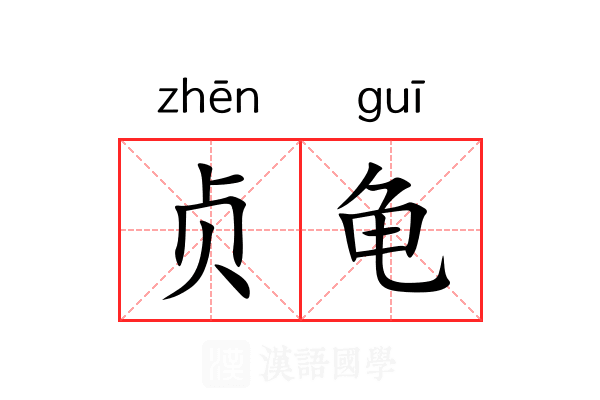 贞龟 贞龟