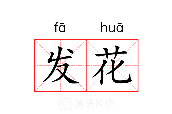 发花 发花